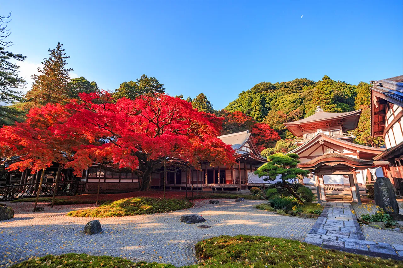 雷山千如寺大悲王院